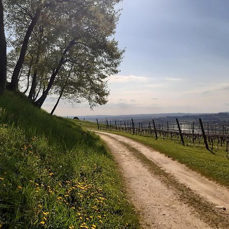 Magitti Appartamento Negrar Exteriér fotografie