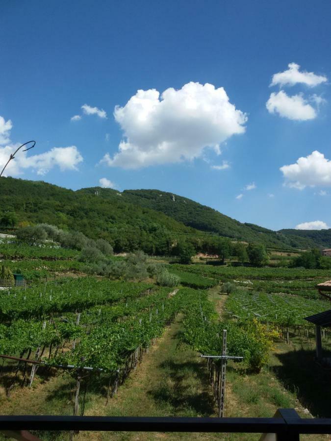 Magitti Appartamento Negrar Exteriér fotografie